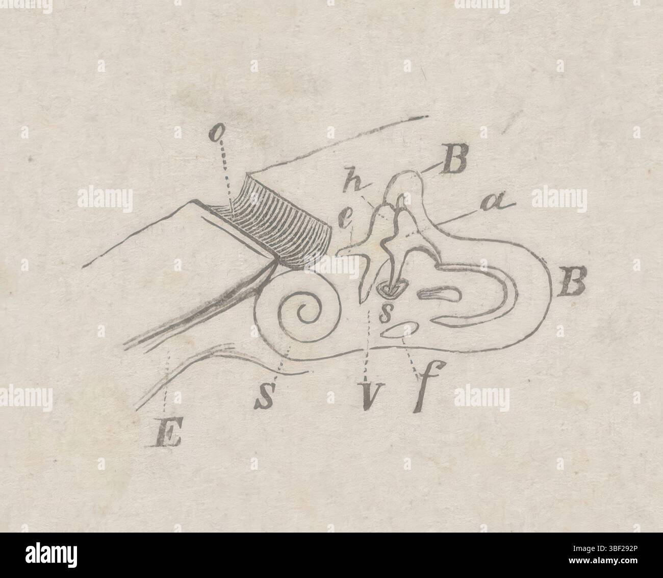 Paesi Bassi, Weissenbruch, Isaac, parte del corpo umano con deviazione, Paesi Bassi, stampa, altezza 47 mm, larghezza 59 mm, olandese, 1826-08-27 - 1912-11-13, stampatore, 1836 - 1912, carta, incisione in legno Foto Stock
