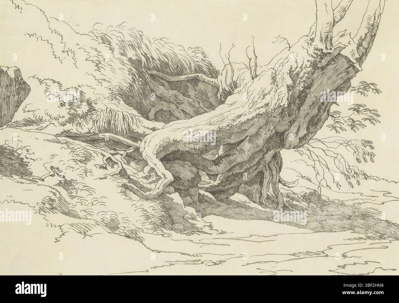 Roma, armi, Giovanni Dall', Voogd, Hendrik, paesaggi italiani, Tentamina lithographica, radici di un albero, Roma, verso - timbrato, radici del braccio ai piedi di un pendio., stampa, Scuola per le scatole grafiche di Utrecht, altezza 383 mm, larghezza 496 mm, olandese, 1768-07-10 - 1839-04, printmaker, 1820 - 1820, carta, showlitography, 1777 - 1829, stampante Foto Stock