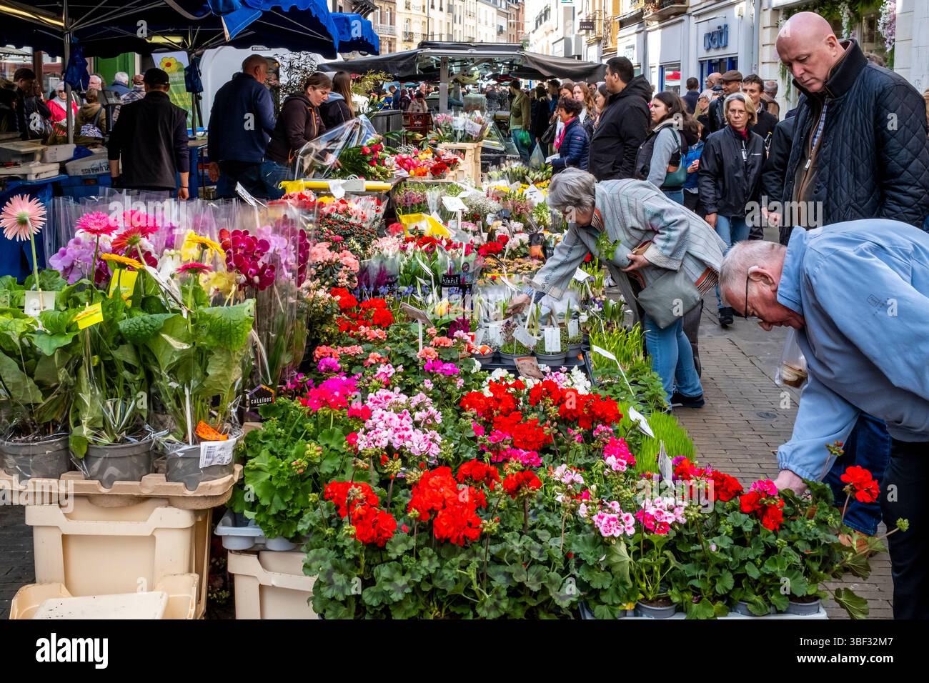 Gente del posto che acquista fiori freschi al mercato del sabato a Dieppe, dipartimento marittimo della Senna, Francia. Foto Stock
