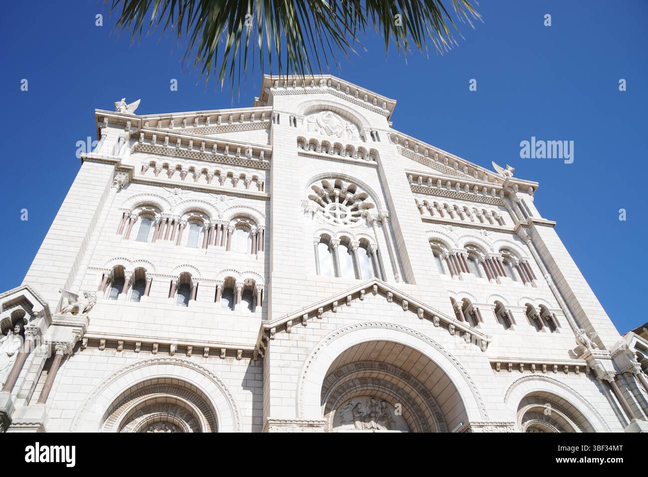 Primo piano sulla Cattedrale di Monaco, Palmtree, Monaco-Ville, Monaco Foto Stock