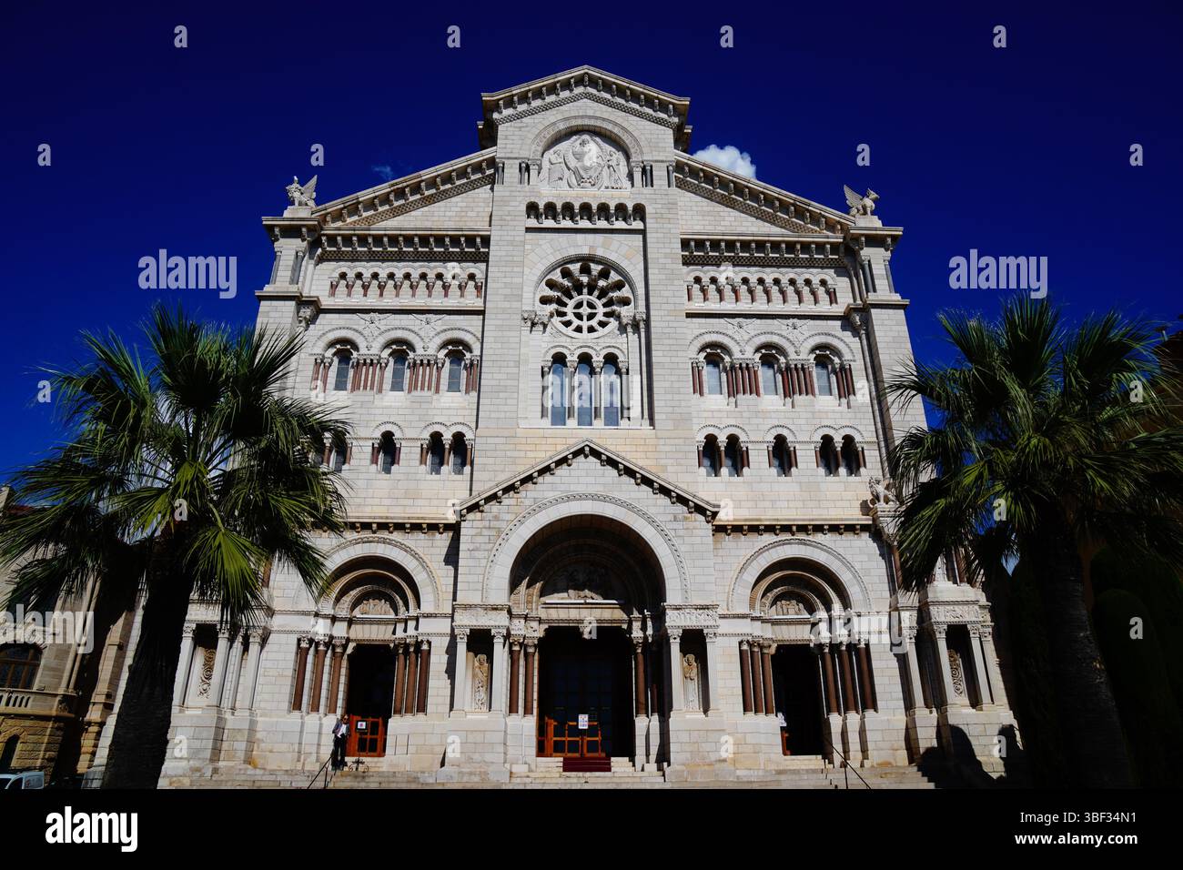 Cattedrale di Monaco con Palmtree, Monaco-Ville, Monaco Foto Stock
