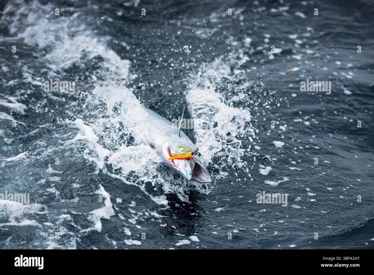 Pesce all'uncino nell'oceano. Pesca da uno yacht a vela Foto Stock