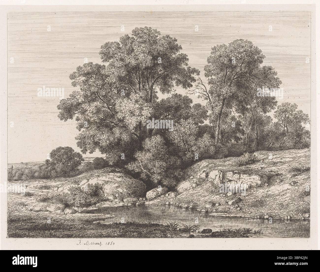 Francia, Achard, Jean Alexis, piscina ai piedi di un gruppo di alberi, Francia, verso - timbrato, stampa, altezza 210 mm, larghezza 270 mm, altezza 225 mm, larghezza 288 mm, 1807 - 1884-10-06, macchina per stampa, 1850 - 1850, carta, chine collé, incisione, incisione Foto Stock