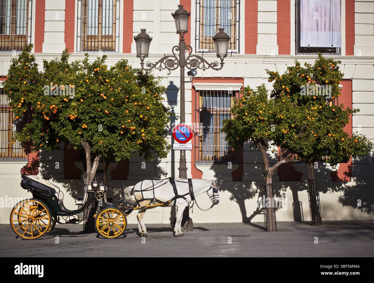Il trasporto di cavalli per i turisti in Sevilla, Spagna. Inquadratura orizzontale Foto Stock