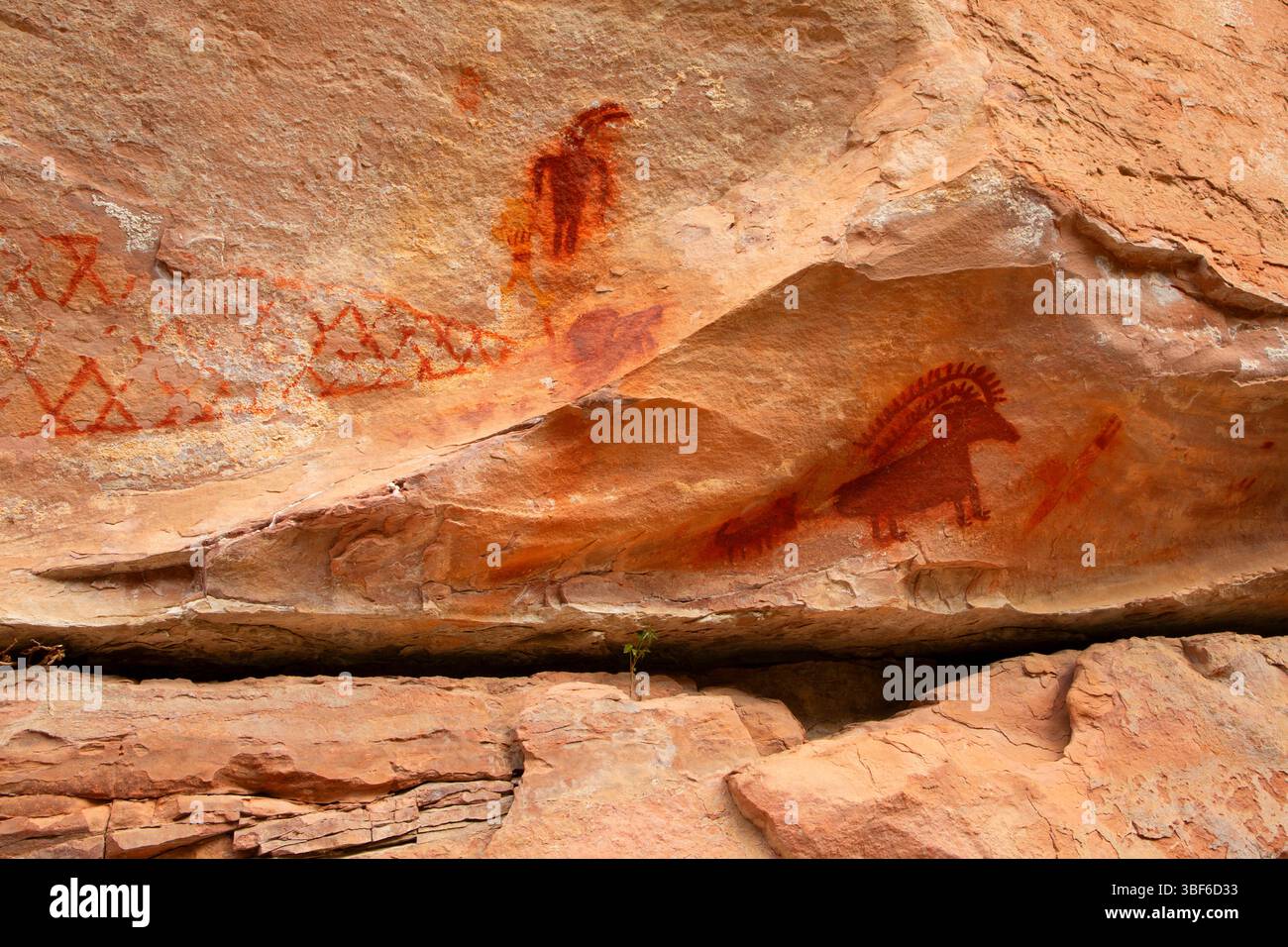 Pittogrammi al Deluge Shelter lungo Jones Hole Trail, Dinosaur National Monument, Utah Foto Stock