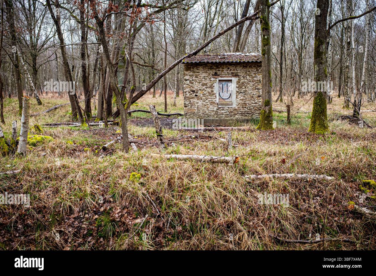 Una piccola cabina in pietra in una foresta francese con un sorriso. Preso in un giorno d'inverno nuvoloso senza gente. Foto Stock