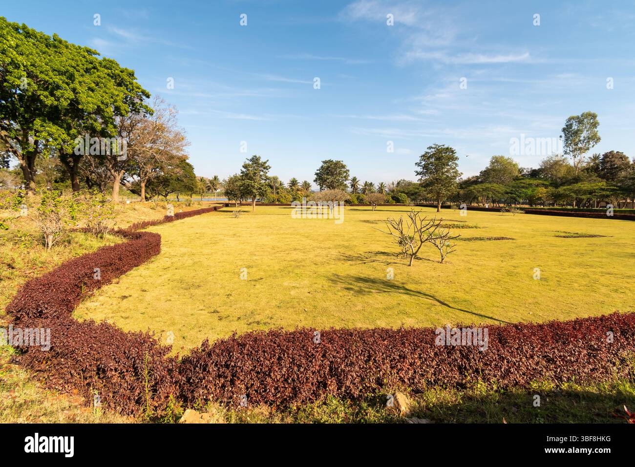 Un tranquillo parco presenta prati verdi rigogliosi delimitati da arbusti colorati. Diversi alberi punteggiano il paesaggio, creando un ambiente sereno perfetto per rela Foto Stock