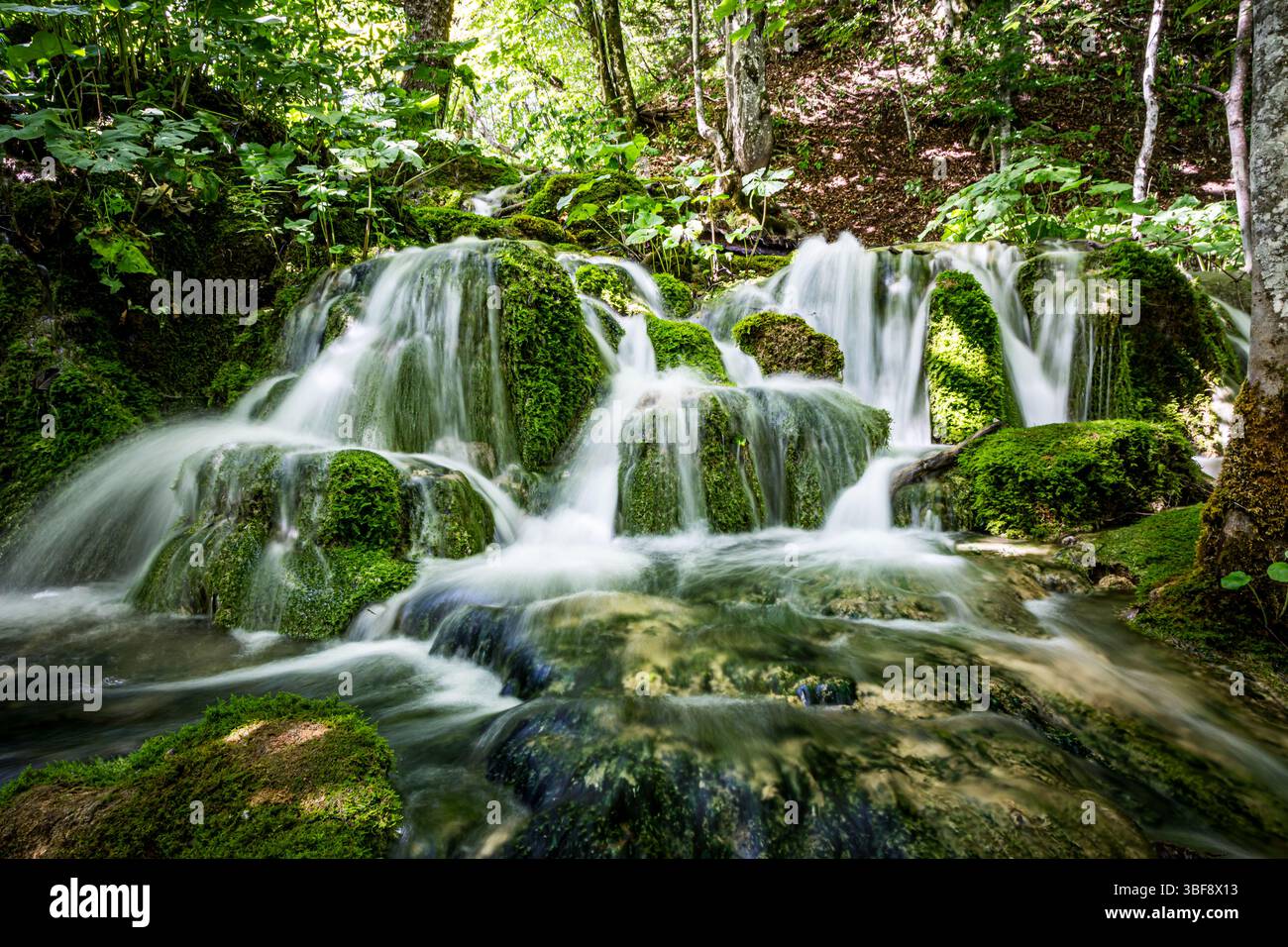 Laghi di Plitvice nel Parco Nazionale di Plitvicka Jezera, Croazia, Europa Foto Stock