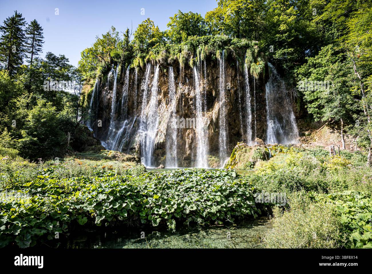Laghi di Plitvice nel Parco Nazionale di Plitvicka Jezera, Croazia, Europa Foto Stock