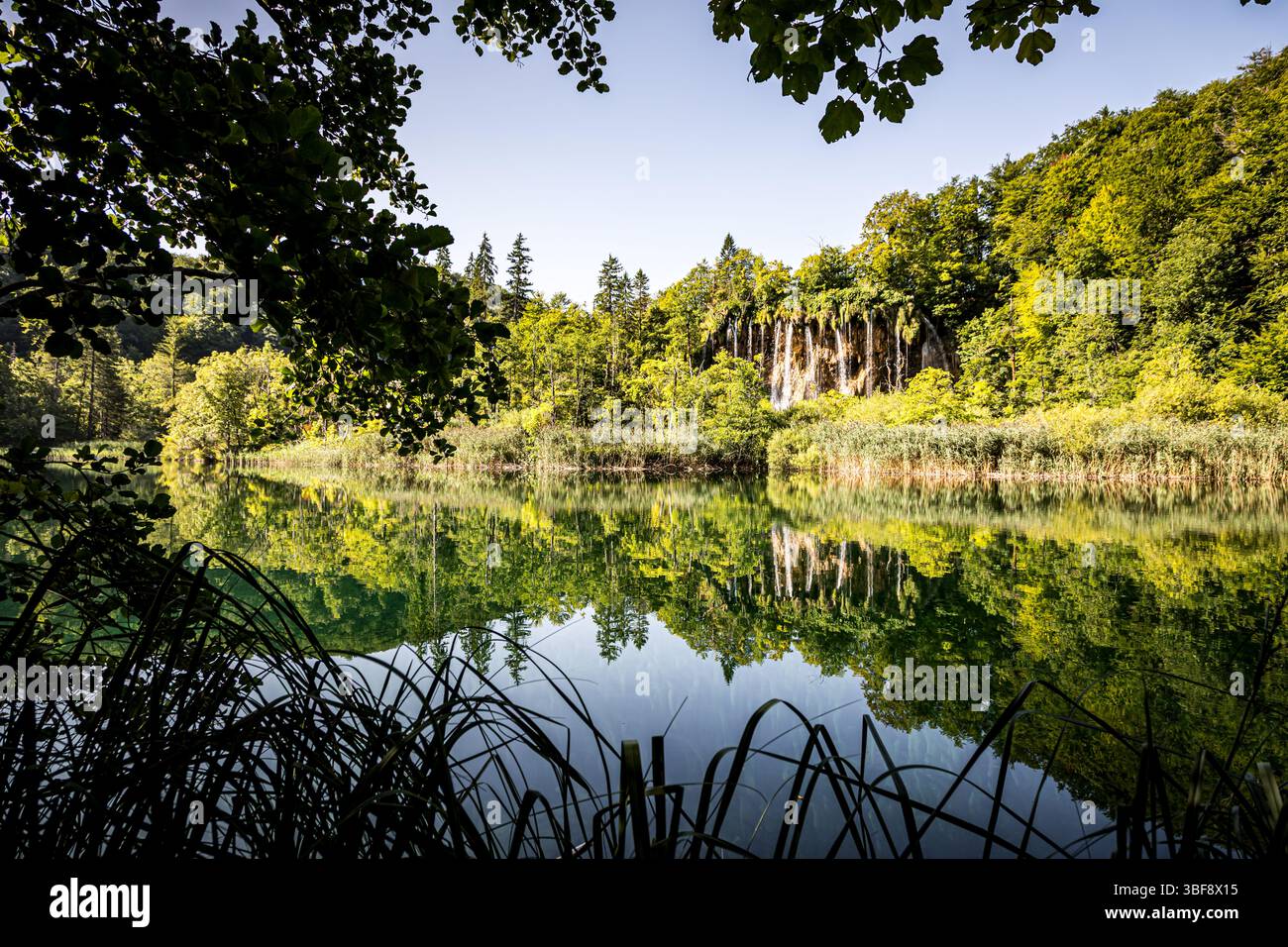 Laghi di Plitvice nel Parco Nazionale di Plitvicka Jezera, Croazia, Europa Foto Stock