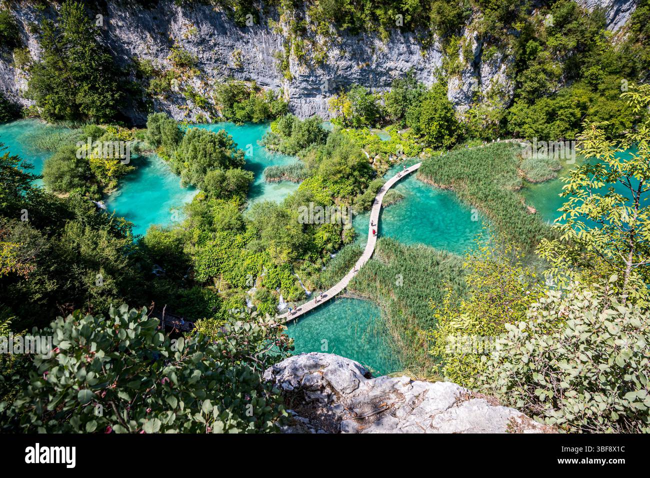 Laghi di Plitvice nel Parco Nazionale di Plitvicka Jezera, Croazia, Europa Foto Stock
