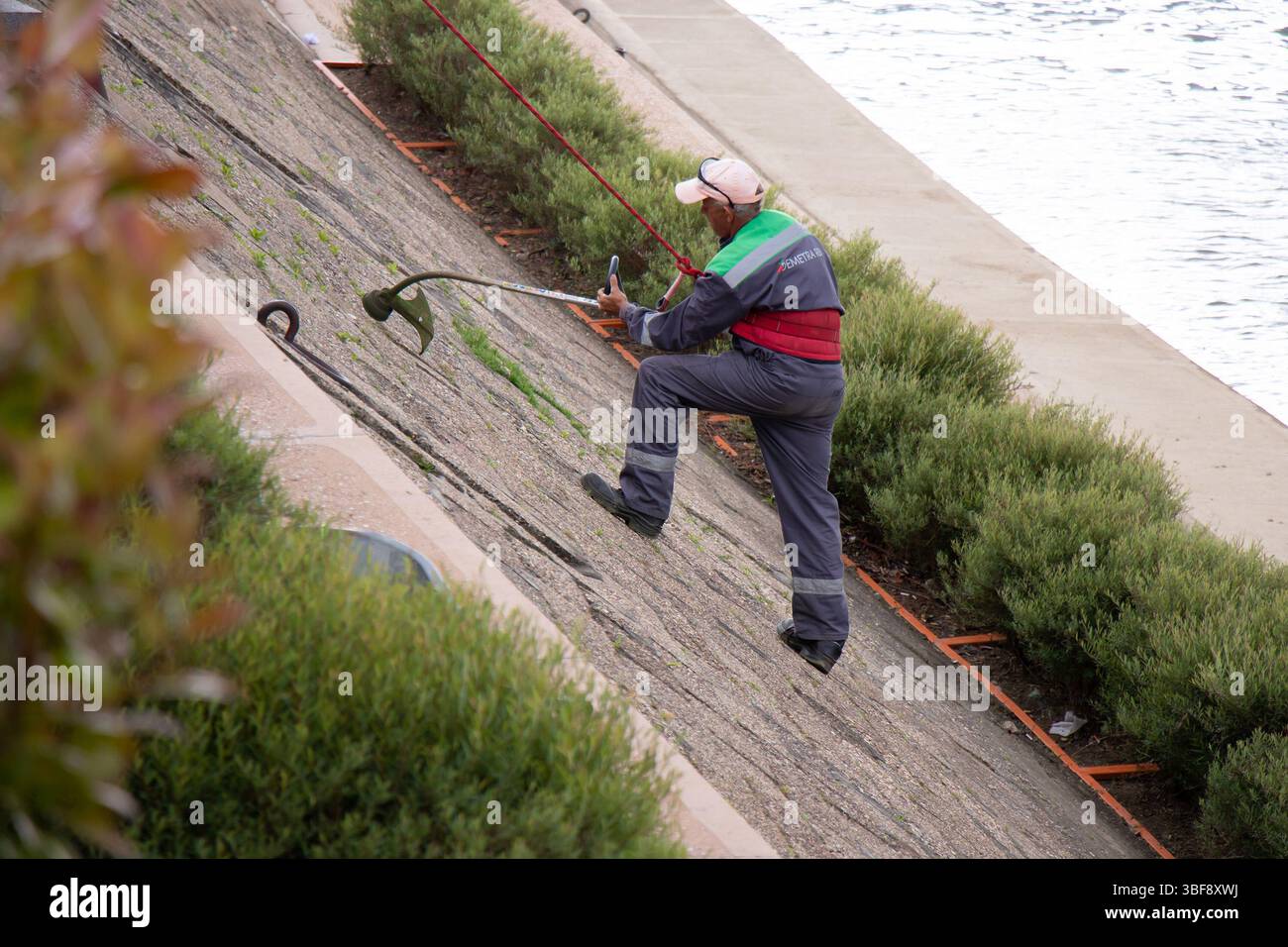 Belgrado, Serbia - 29 maggio 2025: Addetto alla manutenzione del verde che taglia l'erba sul marciapiede del lungomare di Belgrado Foto Stock