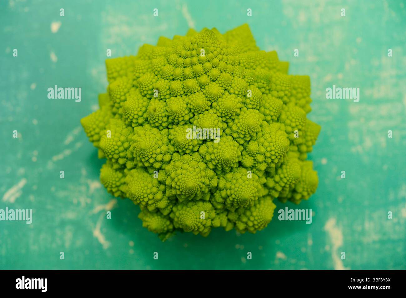 Broccoli Romanesco vegetale su sfondo verde Foto Stock