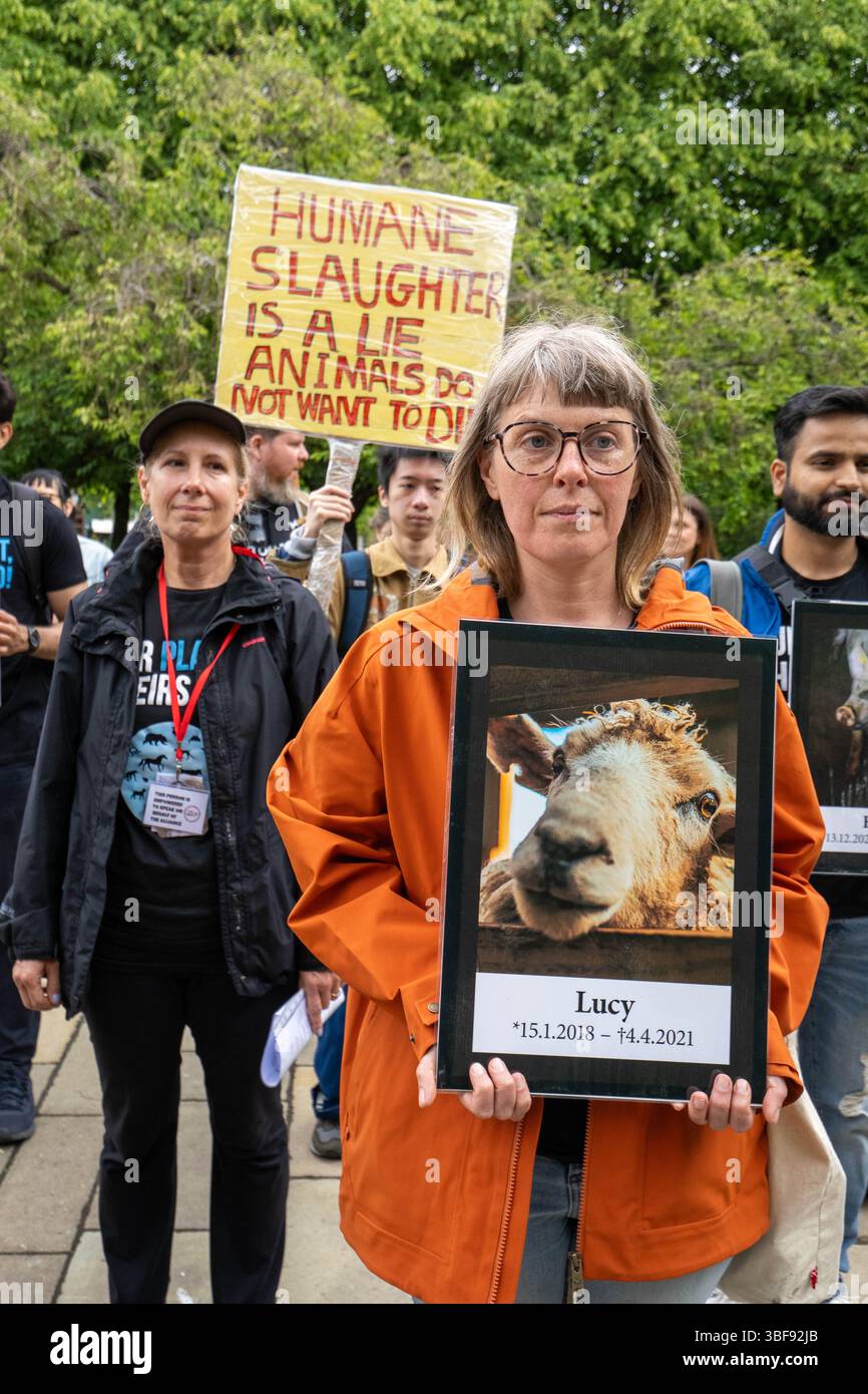 Glasgow, Scozia, Regno Unito. 31 maggio 2025. Animal Liberation Scotland tenne una manifestazione silenziosa per celebrare la giornata nazionale dei diritti degli animali (NARD). Questo evento annuale mira ad onorare gli animali che hanno sofferto o sono morti a causa di azioni umane, a difendere i loro diritti e a sensibilizzare sulla violenza, lo sfruttamento e le sofferenze subite dagli animali in vari settori, tra cui la produzione alimentare, i test scientifici e l'intrattenimento. Crediti: Cameron Scott/ZUMA Press Wire/ZUMA Wire/Alamy Live News Foto Stock