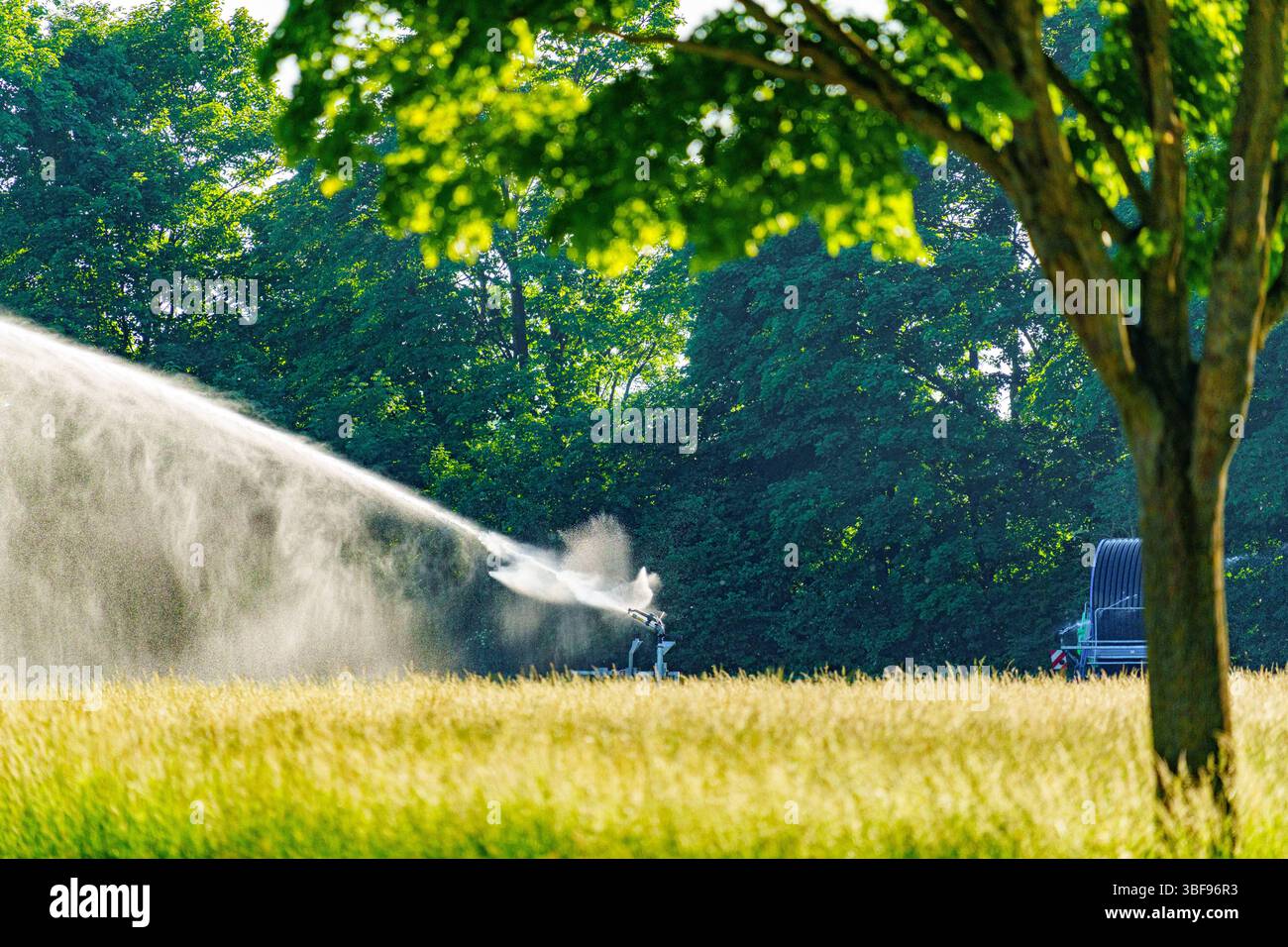 Oberding, Baviera, Germania - 30 maggio 2025: Un irrigatore mobile irriga un campo agricolo al sole estivo. Immagine simbolica siccità, periodi di siccità e l'importanza dell'irrigazione *** Ein mobiler Sprenkler bewässert ein landwirtschaftliches Feld in der Sommersonne. Symbolbild Trockenheit, Dürreperioden und die Bedeutung der Bewässerung Foto Stock