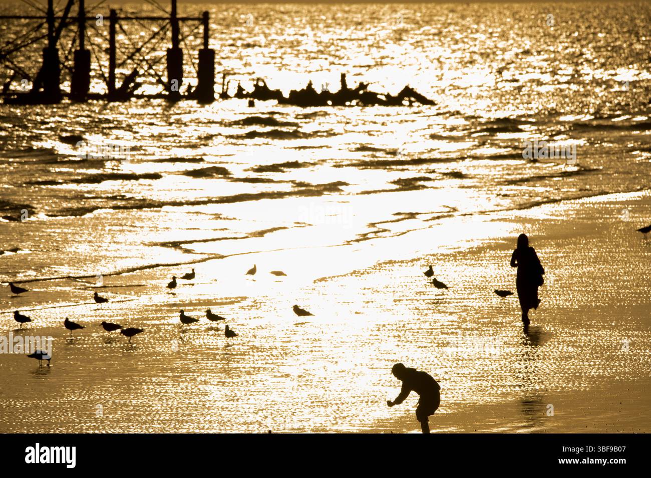 Persone che camminano sulla sabbia con la bassa marea verso il West Pier abbandonato al tramonto, Brighton, Inghilterra. Il molo, costruito nel 1866 e chiuso nel 1975, è ancora classificato Grade i ed è un punto di riferimento ben noto. Solitario in spiaggia in primo piano. Brighton, Inghilterra, Regno Unito. Foto Stock
