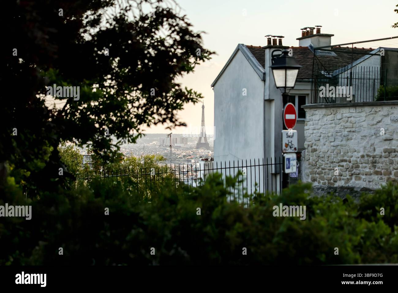 Una vista sui tetti di Parigi da un alto punto panoramico, che mostra la lontana Torre Eiffel incorniciata tra alberi ed edifici sagomati. Foto Stock