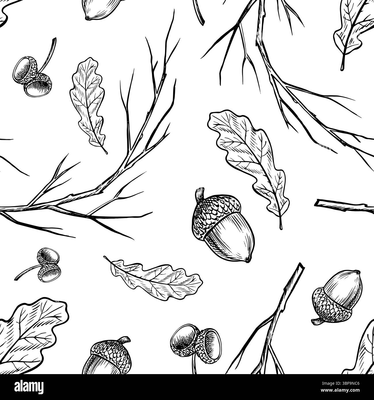 Motivo senza cuciture con rami di quercia, ghiande e foglie. Grafica vettoriale. Illustrazione in bianco e nero disegnata a mano. Su sfondo bianco. Ottimo per Illustrazione Vettoriale
