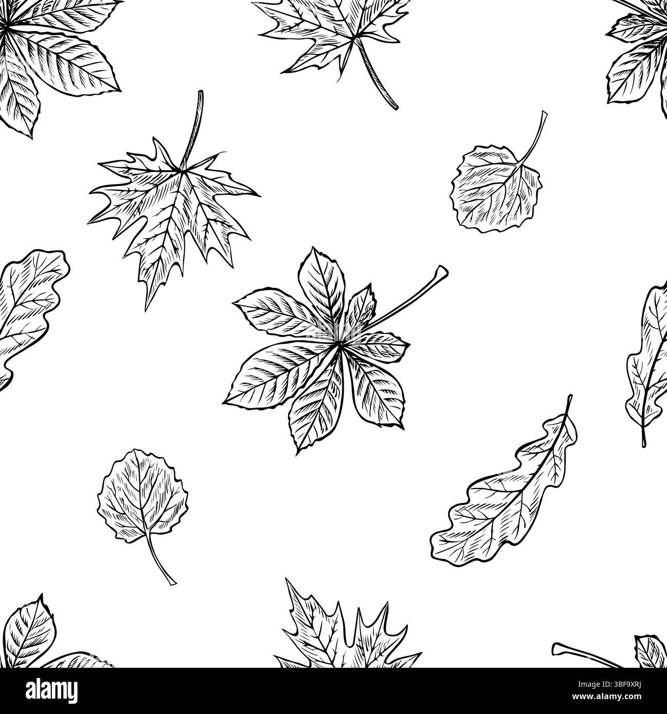 Foglie di alberi diversi, acero, quercia, castagno e pioppo senza cuciture. Grafica vettoriale. Illustrazione in bianco e nero disegnata a mano. Su un bianco Illustrazione Vettoriale