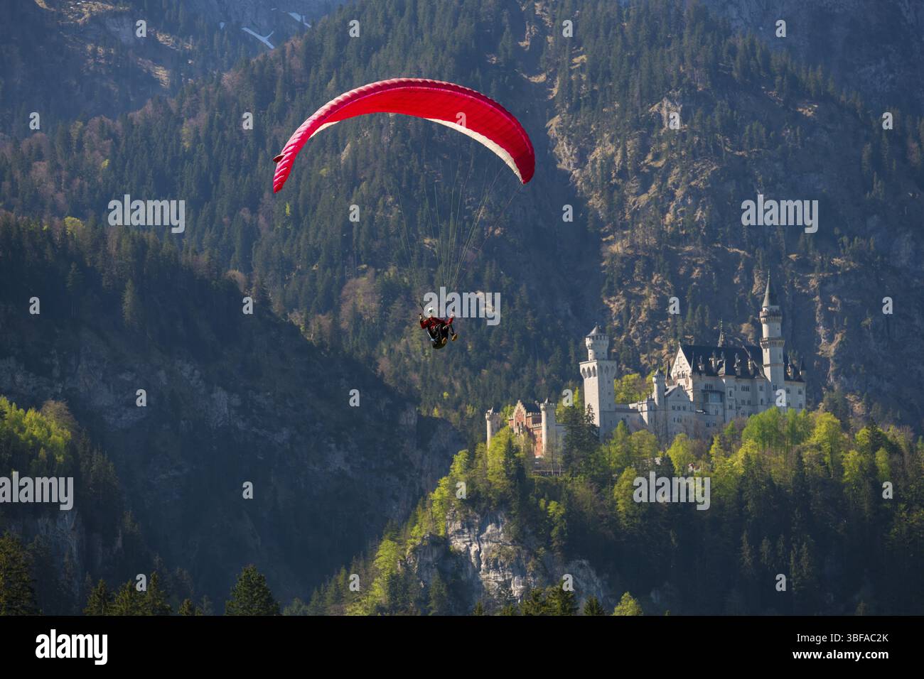 Un parapendio rosso sorvola il castello di Neuschwanstein sulle montagne, Schwangau vicino a Fuessen, Ostallgaeu, Svevia, Baviera, Germania, Europa Foto Stock