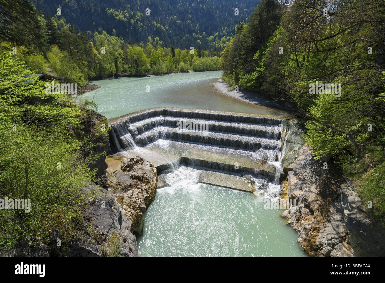 Cascate di Lech vicino a Fuessen, distretto di Ostallgaeu, Svevia, Baviera, Germania, Europa Foto Stock