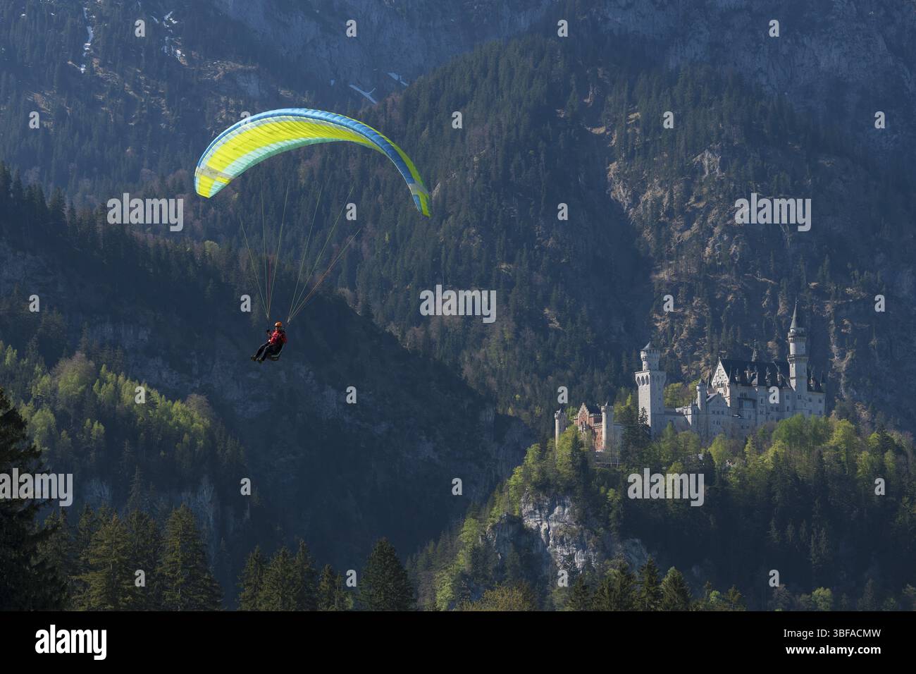 Un parapendio vola vicino al castello di Neuschwanstein di fronte a un paesaggio montano boscoso, Schwangau vicino a Fuessen, Ostallgaeu, Svevia, Bavari Foto Stock
