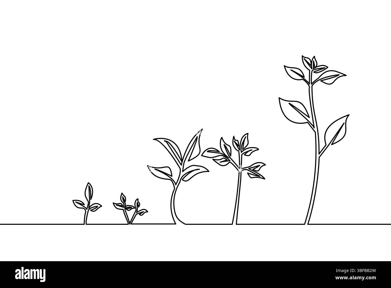 Disegno continuo delle fasi di crescita delle piante che illustrano lo sviluppo e l'evoluzione disegno minimale delle linee, disegno singolo di un vettore vegetale in crescita Illustrazione Vettoriale