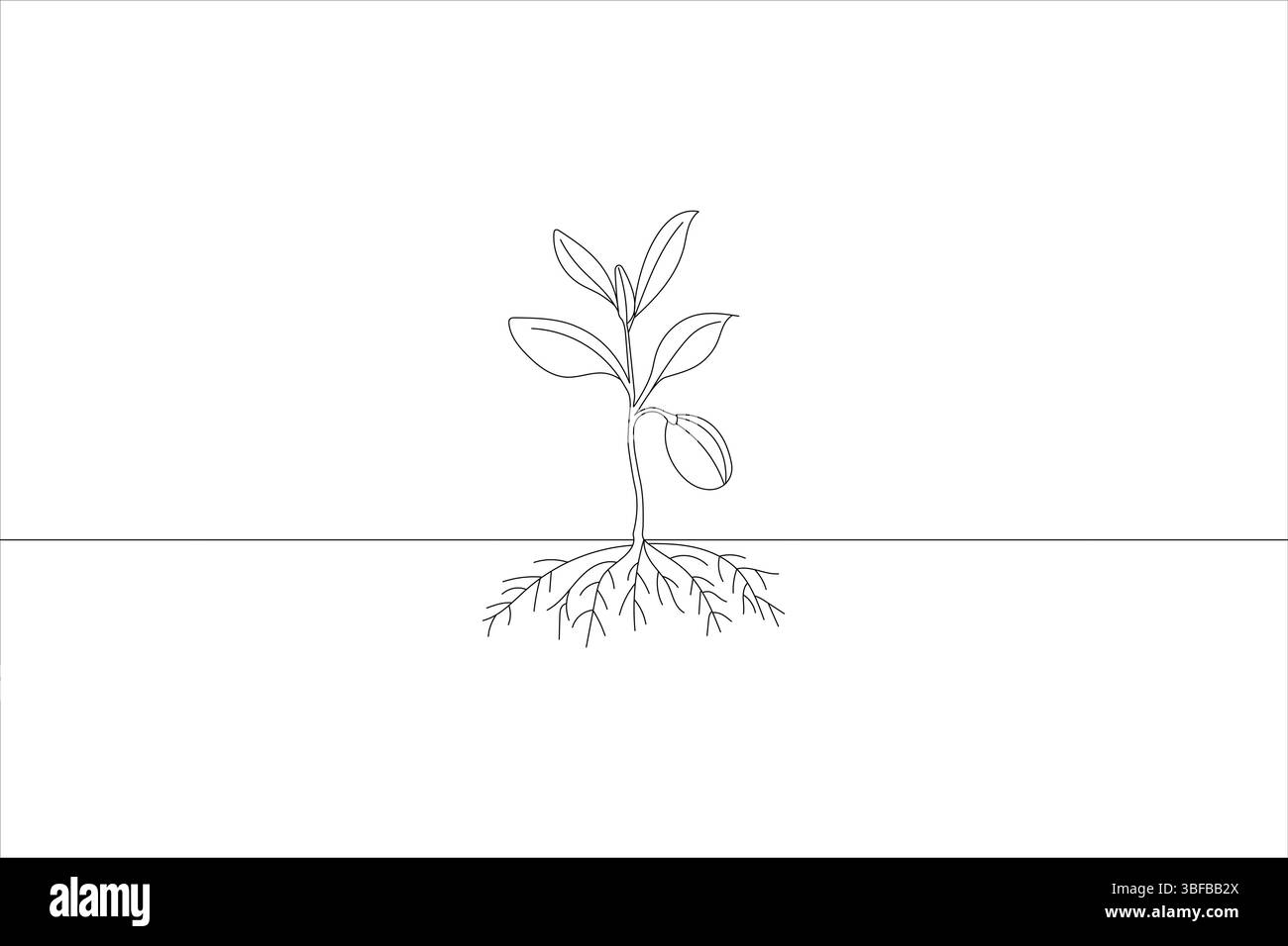 Semplice disegno di una pianta in crescita che mostra radici, fusto, foglie e crescita Illustrazione Vettoriale