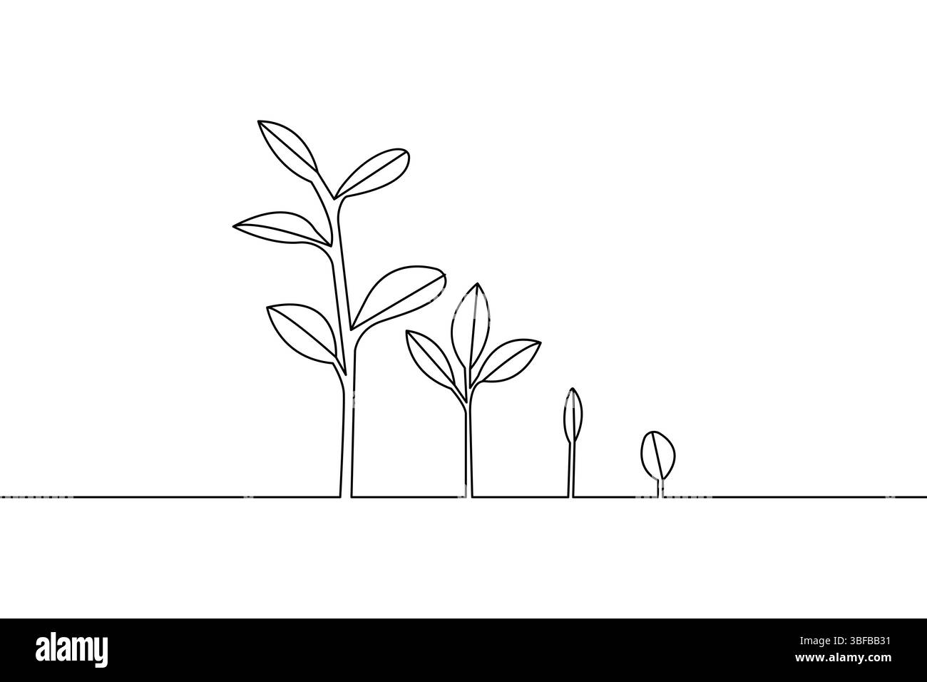 Disegno continuo delle fasi di crescita delle piante che descrivono il ciclo di vita e lo sviluppo Illustrazione Vettoriale