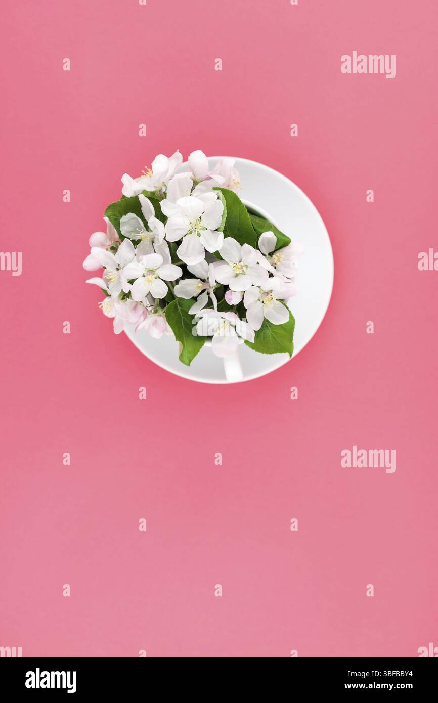 Piatti creativi concetto laici vista superiore della tazza di caffè e bianco mela albero in fiore su sfondo rosa con copia spazio in stile minimal, modello f Foto Stock