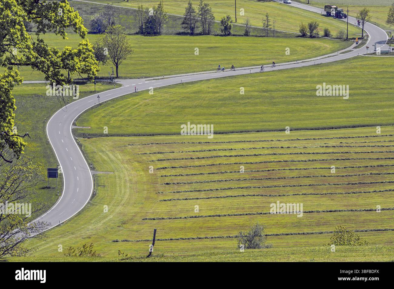 Prati erbosi, ciclisti su una tortuosa strada di campagna vicino a Niedersonthofen, Allgaeu, Svevia, Baviera, Germania, Europa Foto Stock