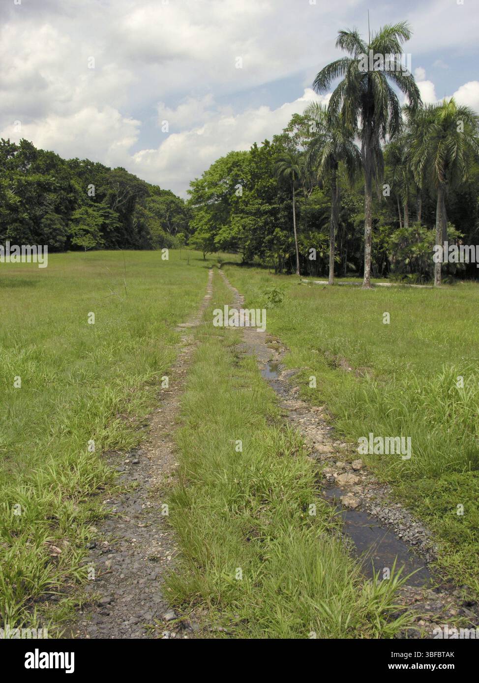 Una pista sterrata ai tropici Foto Stock