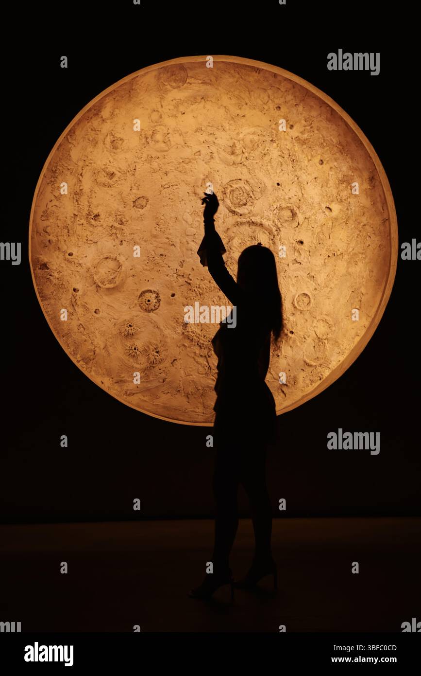 Una splendida silhouette sullo sfondo illuminato dalla luna che cattura l'occhio Foto Stock