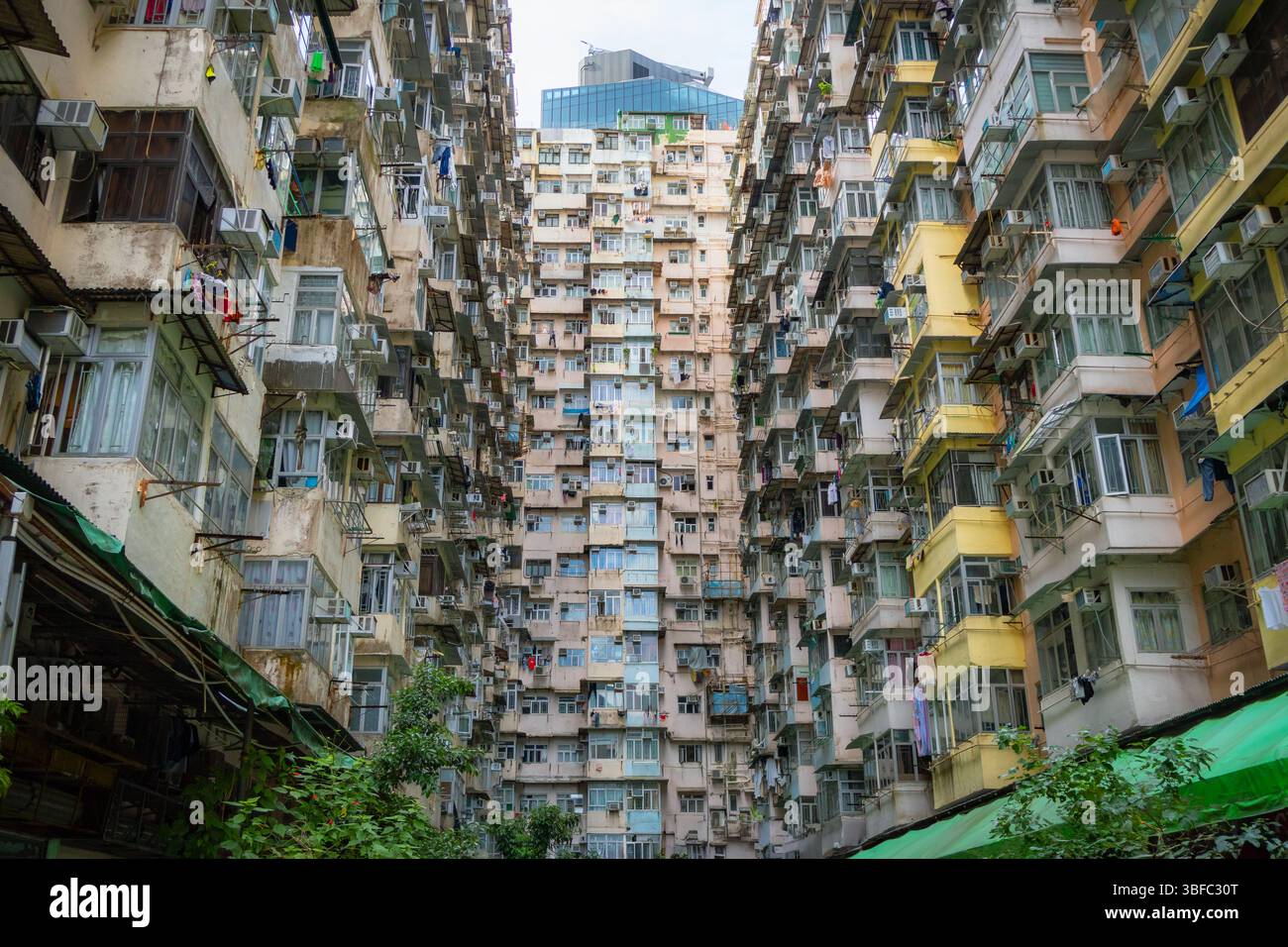 Alloggi densamente popolati nel vecchio quartiere residenziale di Quarry Bay, Hong Kong. Soprannominato "Monster Building". Foto Stock