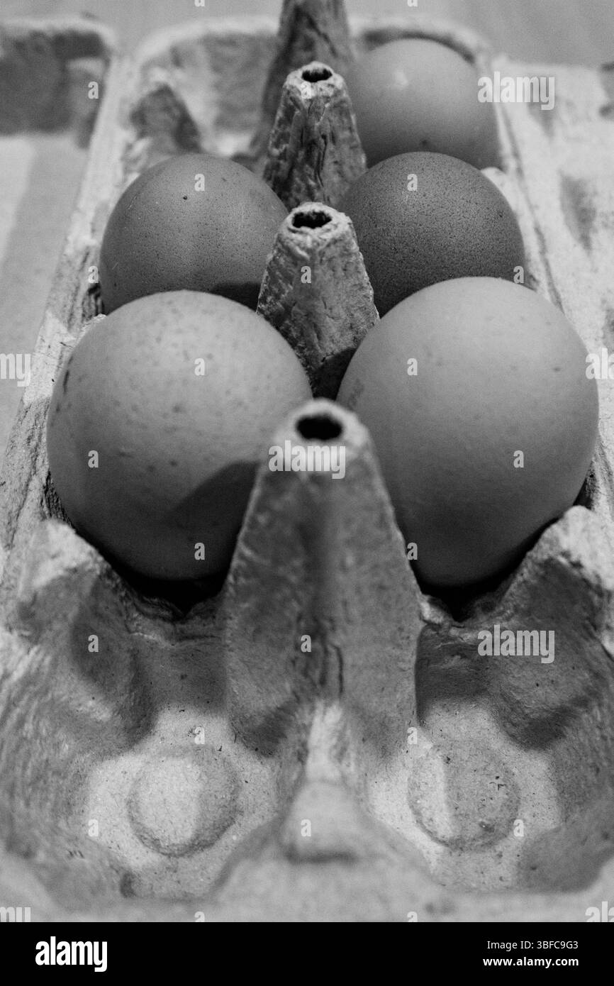 uovo, uova, nella scatola. e pane appena fatto Foto Stock