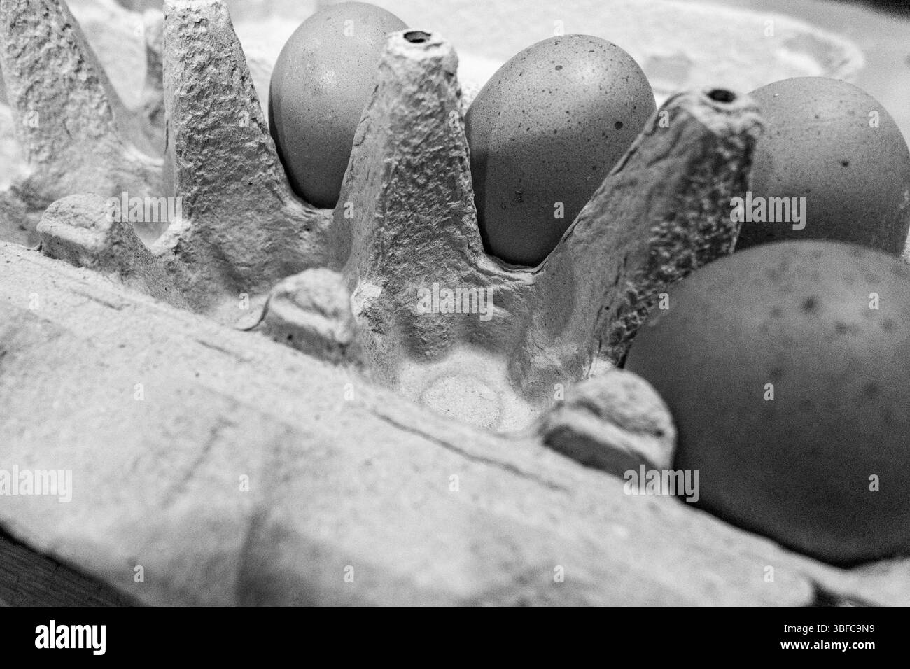 uovo, uova, nella scatola. e pane appena fatto Foto Stock