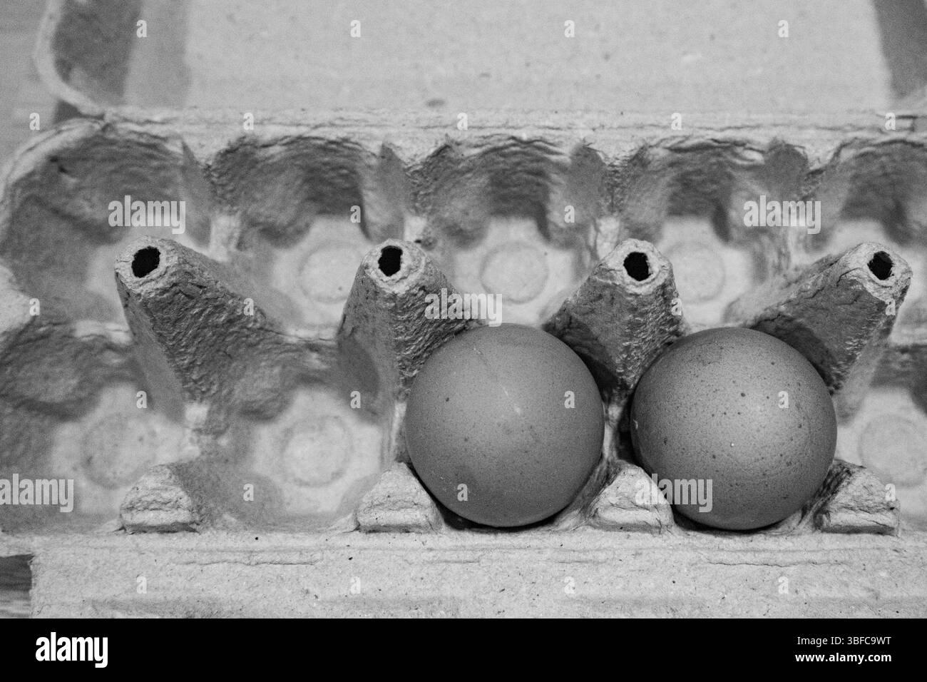 uovo, uova, nella scatola. e pane appena fatto Foto Stock