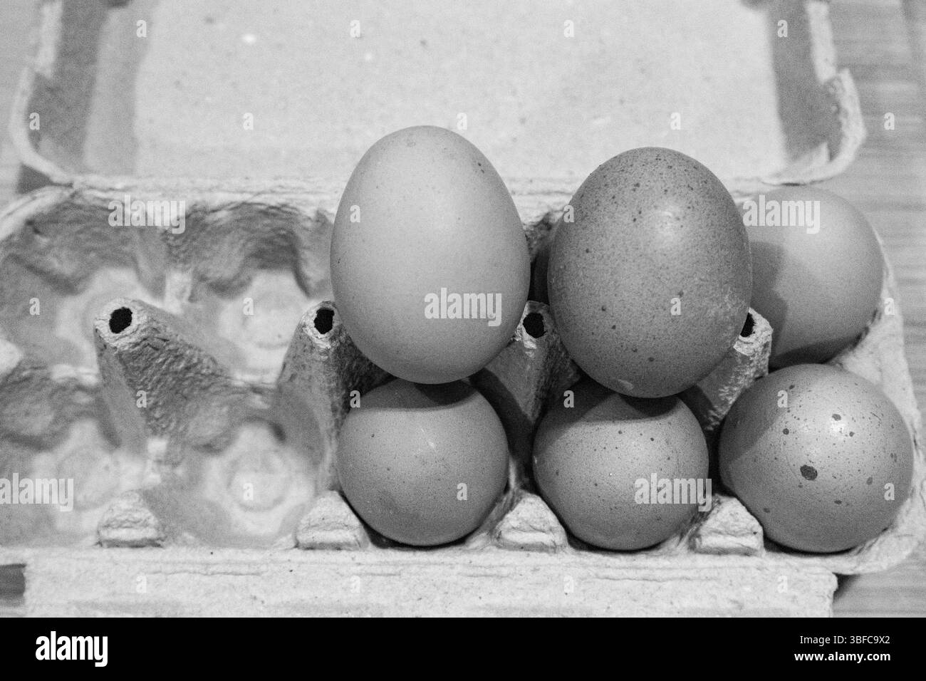 uovo, uova, nella scatola. e pane appena fatto Foto Stock