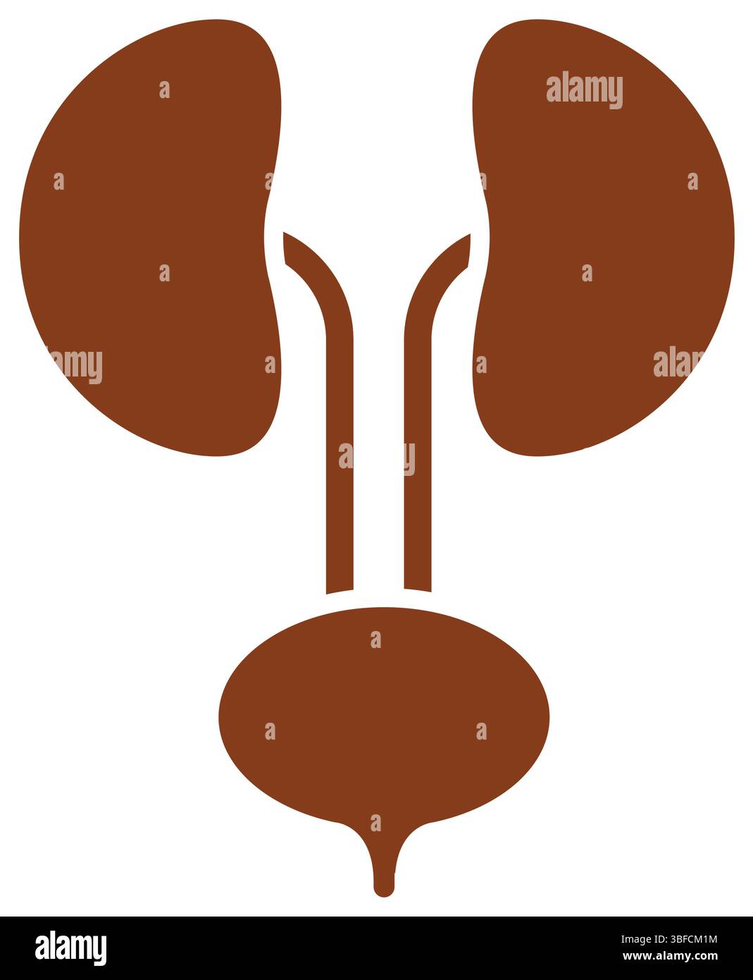 reni e urinarie isolati sullo sfondo Illustrazione Vettoriale