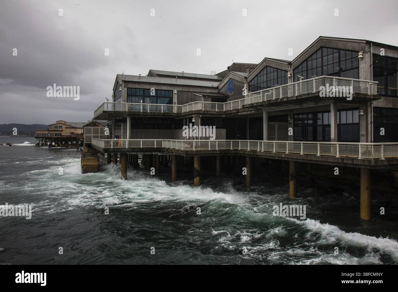 Monterey - Acquario Foto Stock