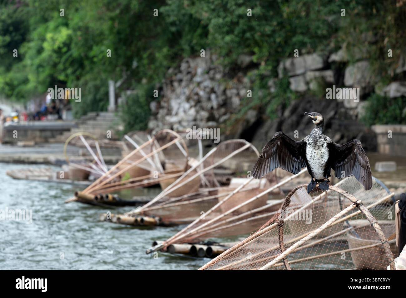 Una zattera da pesca cormorana sul fiume li, Guilin, Cina. Gli uccelli sono utilizzati in una tecnica di pesca tradizionale cinese. Foto Stock