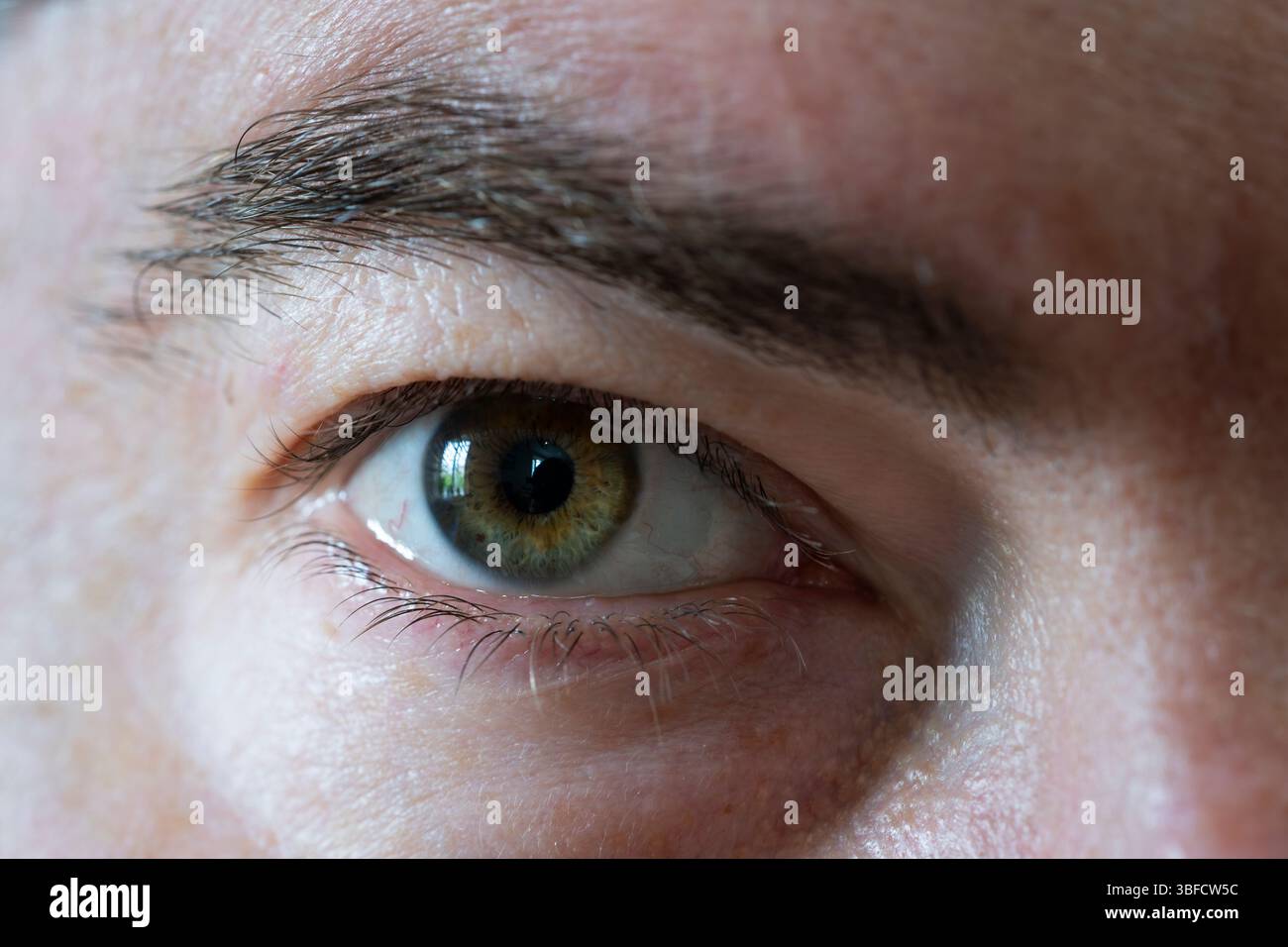 Primo piano dell'occhio di un uomo sui quarant'anni, in Inghilterra. Concetto: Prova di demenza, glaucoma, salute degli occhi, moody, scansione oculare, sguardo intenso, test degli occhi Foto Stock