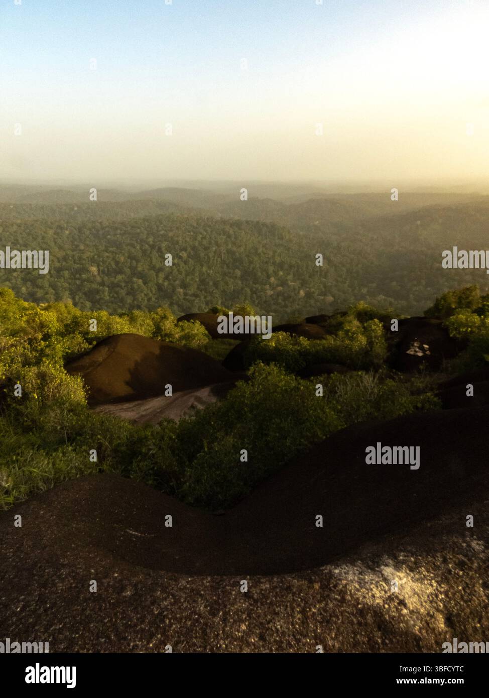 Una vista su una montagna sopra la foresta amazzonica nella Guyana francese Foto Stock
