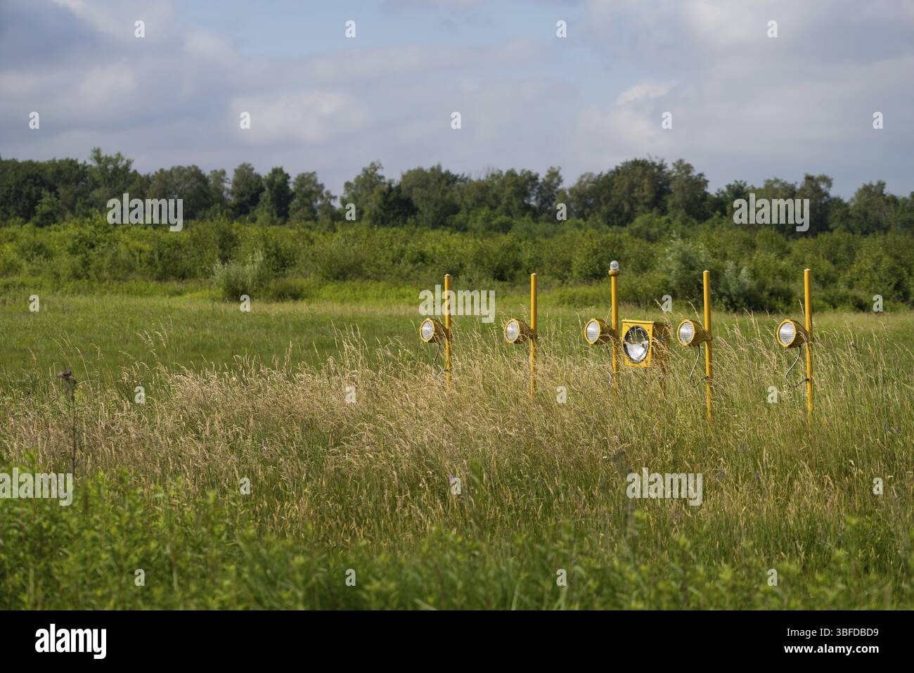 Nel Wahner Heide vicino all'aeroporto Foto Stock