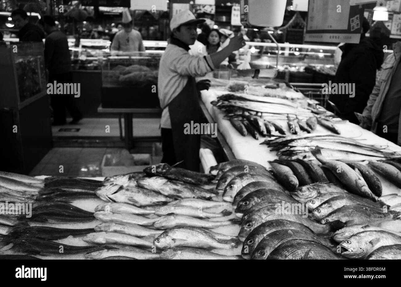 Esposizione di pesce fresco e stazione di pesatura in un banco di pesce del supermercato cinese, primi anni '2010 Foto Stock