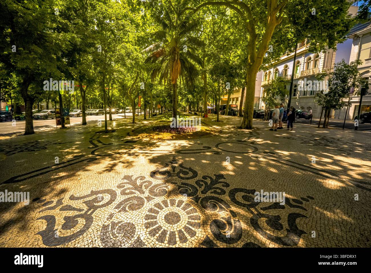 Decorati motivi di pavimentazione in mosaico portoghese sotto l'ombra di alberi dappati sul famoso viale Avenida da Liberdade nel centro di Lisbona, Portogallo Foto Stock