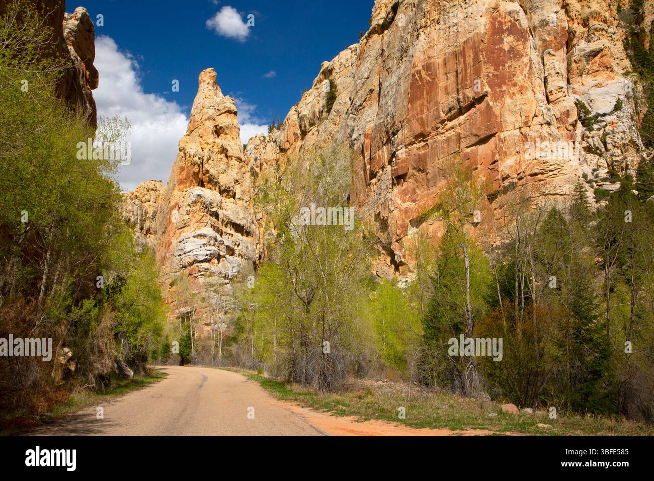 Tower Rock, Sheep Creek Canyon Geological area, Ashley National Forest, Utah Foto Stock