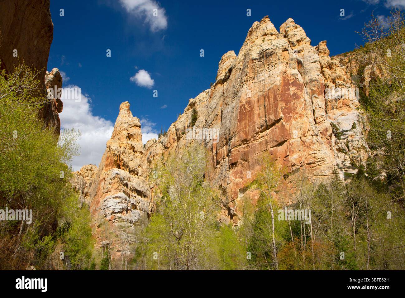 Tower Rock, Sheep Creek Canyon Geological area, Ashley National Forest, Utah Foto Stock