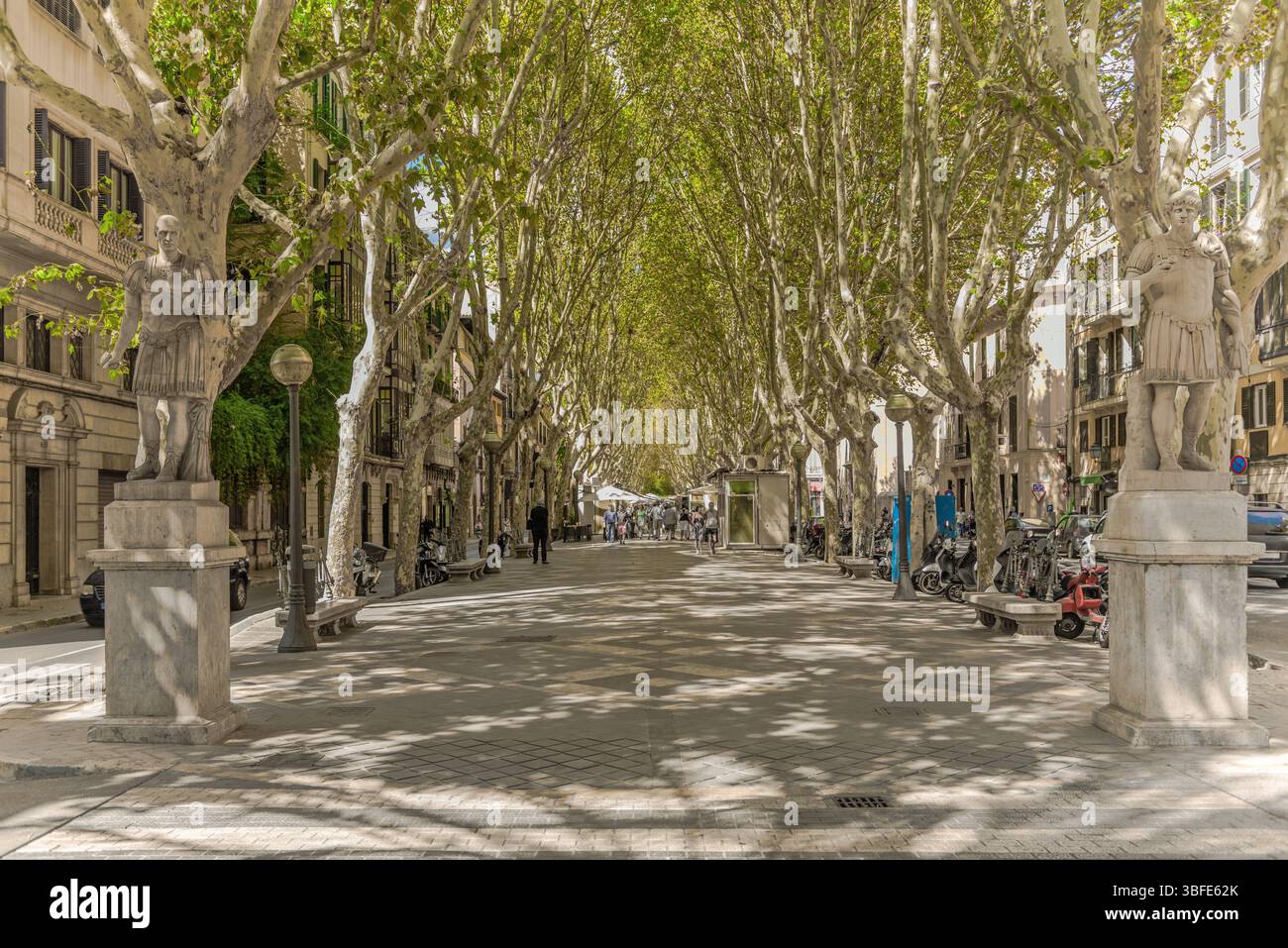 Passeig des Born - via dello shopping e passeggiata di Palma di Maiorca - 2739 Foto Stock