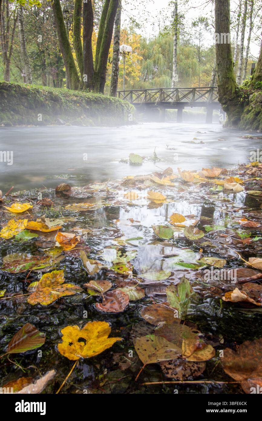 Sorgente del fiume Bosna, Sarajevo-Ilidza. In una mattinata fresca, l'eterea nebbia si libra sul tranquillo fiume, circondato da alberi verdi. Un pittoresco Foto Stock